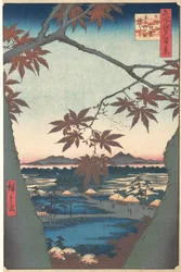Maples at Mama, fra serien One Hundred Famous Views of Edo, ca. 1857., ca. 1857.