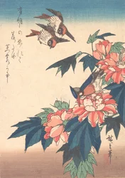 Svaler og Kingfisher med rosemallows, ca. 1838., ca. 1838.