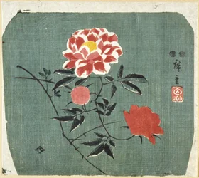 Viftetrykk: Rose