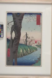 Koganei i Musashi-provinsen (Musashi Koganei) (farget treblokktrykk)