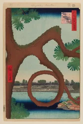 Moon Pine, Ueno
