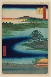 Kjolehengende furu, Senzoku-dammen