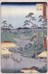 Station 5, Hodogaya (treblokktrykk)