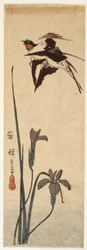 Swallows And Iris (farget treblokktrykk)