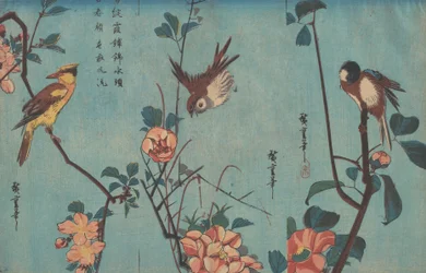 Meiser og kameliaer, spurv og ville roser og svartnapet oriole og kirsebærblomster, ca. 1833 (treblokktrykk)