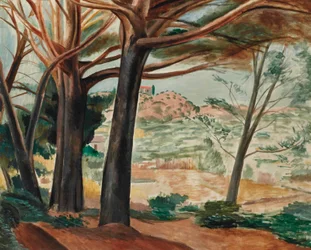 Martigues-skogen