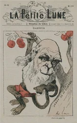 Darwin som ape på Den lille månen