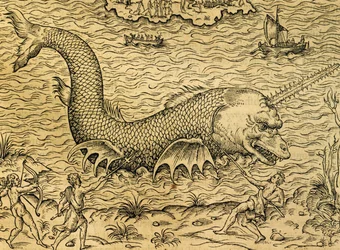 Sjømonster, gravering fra Universal Cosmology, av Andre Thevet (1504-1592), Paris