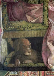 Rubino, favoritthunden til markien Ludovico Gonzaga III av Mantova og hans familie, fra Camera degli Sposi eller Camera Picta, 1465-74, freskodetalj 78461