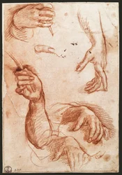 "Studie av hender" tegnekull (kull)