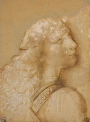 Byste av en ung mann, studer for engelen til "Kristi dåp" til Verrocchio, ca. 1475 (metallspiss, oker akvarell og hvitt blekk på forberedt papir lys oker)