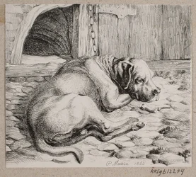 En sovende kjedehund