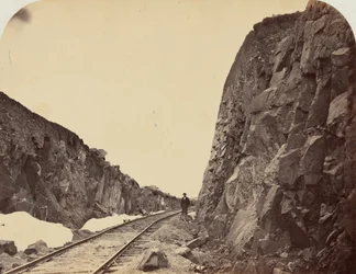 Tavle 1. Carmichaels snitt, granittkanon, 1869 (foto)