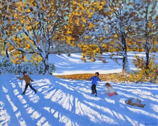 Tidlig snø, Allestree Park. 2017,