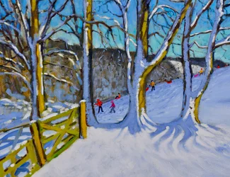 Sledging, Dam Lane, Derbyshire, 2017,