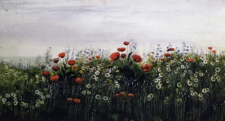 Sommerblomster. Maleri av Andrew Nicholl (1804–1886). Privat samling.
