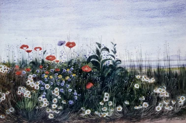 Ville blomster. Maleri av Andrew Nicholl (1804–1886). Privat samling.
