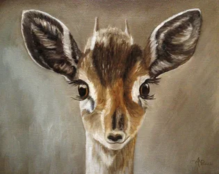 Søt dik-dik-kalv