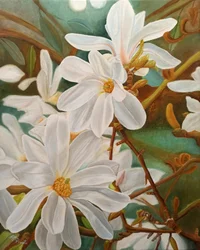 Blomstrende hvit magnolia