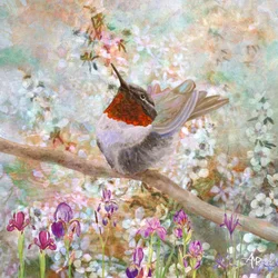 Kolibri i blomst