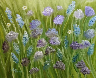 Blomstrende eng med villblomster