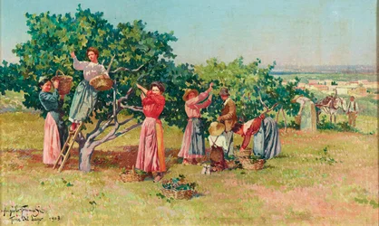 Innhøsting i Toscana