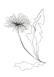 Tegning av løvetann