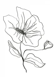 Delikat blomsterskisse
