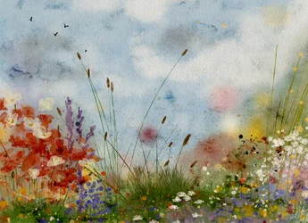 Et fargerikt blomsterfelt