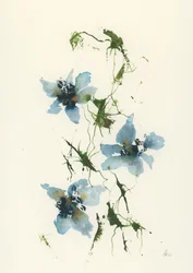 Blå akvarellblomster