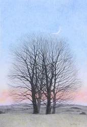 New Moon, 2011 (farget blyant på papir)