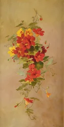 Nasturtiums