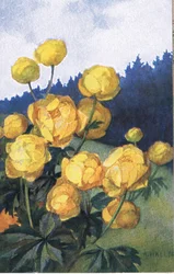 Gul blomst, postkort, 1940-tallet