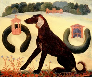 Ørkenhund