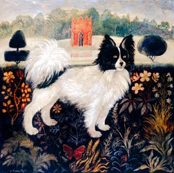 Tricias Pom 