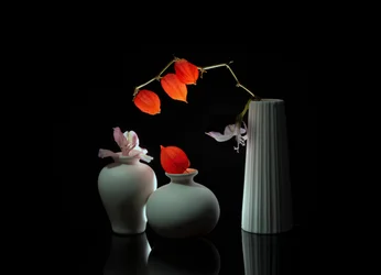 Elegant blomsterstilleben