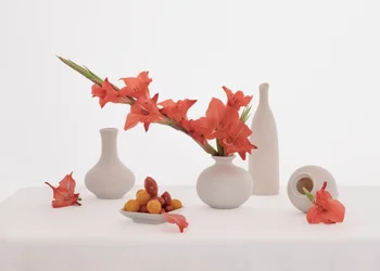 Stilleben med oransje gladioler