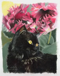 Svarte tulipaner