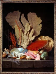 Stilleben med sjøvifter og skjell. Maleri av Anne Vallayer-Coster (1744-1818), 1769. Mål: 1,3 x 0,97 m