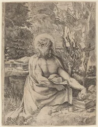 Saint Hieronymus i villmarken