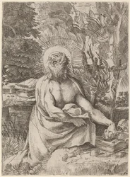 Saint Hieronymus i villmarken