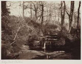 Edge Park, Cheshire, ca. 1865 (albumtrykk fra glassnegativ)