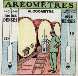 Væskebalanse: måler tettheten til en alkohol med et alkoholometer (et aerometer brukes til alkohol). Anonym illustrasjon fra 1925. Privat samling.