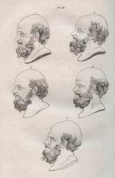 Physiognomy - Physiognomony - Several heads of the Greek philosopher Socrates (ca. 469 BC-399 BC) (Bust of Socrates (ca 469 BC-399 BC), Athenian philosopher) engraving of 1808 in “The art of knowing men through physiognomy” by Johann Gaspar (Gaspard) Lavat