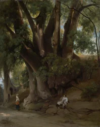 Italian Treescape (vei nær Albano)