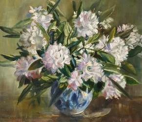Rhododendron, blek hvit og rosa