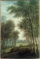 Kanten av skogen