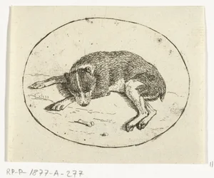 liggende hund