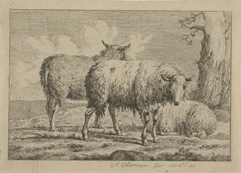 Tre sauer ved et tre Studier av kyr, sauer og geiter (serietittel)