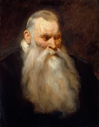 Studiehode til en gammel mann med hvitt skjegg, ca. 1617-20.